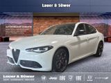 Alfa Romeo Giulia Tributo Italiano Diesel 154 kW (209 PS) A - Alfa Romeo: Tr