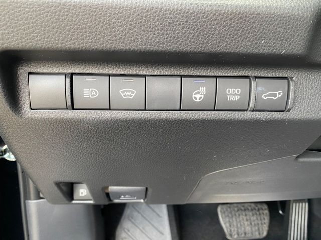 RAV 4 Hybrid 4x2 Team Deutschland