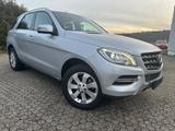 Mercedes-Benz ML 250 CDI BlueTec * 3.5t AHK - Mercedes-Benz Ml