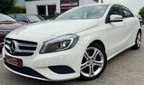 Mercedes-Benz A 220-4Matic-7G-LEDER-BI-XENON-KAMERA-NAVI-1.HND - Mercedes-Benz A 220 aus 2015