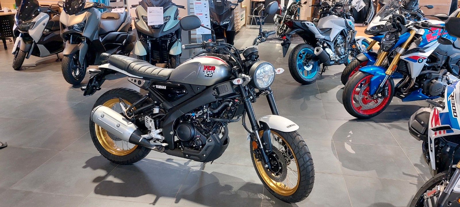 Fahrzeugabbildung Yamaha XSR 125 Legacy  2025 Führerscheinzuschuss