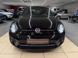 Volkswagen Beetle Design BMT Automatik DSG XENON - gebrauchte VW Beetle aus dem Jahr 2017