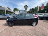 Fiat Punto Classic 1.2 5 porte Active - gebrauchte Fiat Punto aus dem Jahr 2010