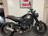 Benelli Leoncino 500 - BENELLI LEONCINO 500