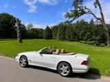 Mercedes-Benz SL 500 - AMG Paket ab Werk SAMMLERZUSTAND - gebrauchte Mercedes-Benz SL-Klasse aus dem Jahr 2000