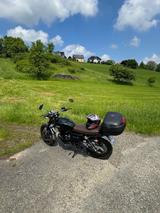 Mash two fifty - MASH FIFTY