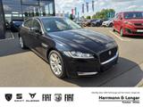 Jaguar XE 2.0 Portfolio AWD Kundenauftrag NAVI W-LAN - Jaguar XE: Portfolio