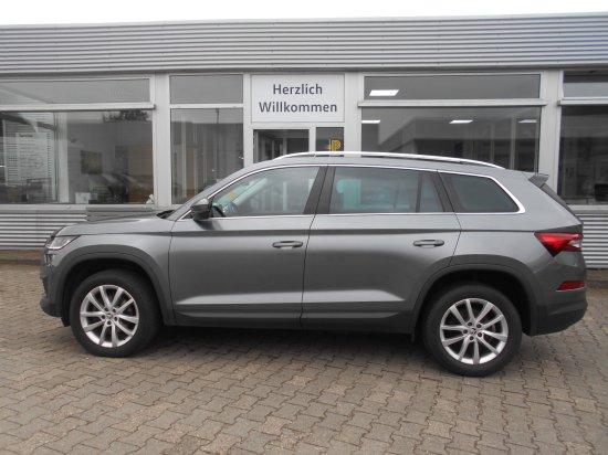 Skoda Kodiaq 2.0  TDI 4x4 DSG Style, Ganzjahresreifen,