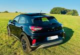 Ford Puma 1,0 EcoBoost Hybrid 92kW Titanium + Flat - Ford Puma von privat