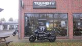 Triumph Rocket 3 R Storm  2025 SISSYBAR - Angebote