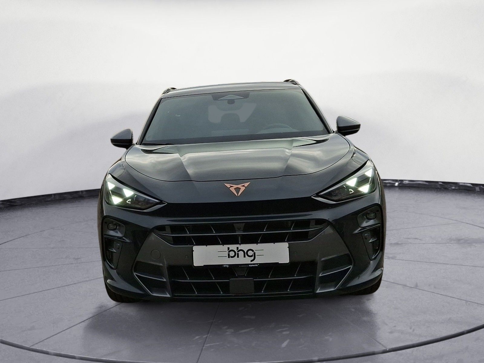 Cupra Terramar 2.0 TSI  7-Gang DSG 4Drive imagem 2