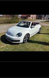 Volkswagen Cabrio Beetle Cup Sonderedition - Volkswagen Beetle CUP mit Benzin-Antrieb