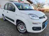 Fiat Panda Easy, KLIMA, TÜV NEU, CITY, 1 Hand - gebrauchte Fiat Panda aus dem Jahr 2015