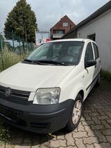 Fiat Panda 02/2026 Automatik 4 Türen - Fiat Panda in Lübeck