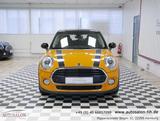 MINI Mini Cooper Pepper*1Vorb*LED Sche.*Navi*Serviceg - MINI MINI: Se