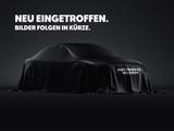 Ssangyong Torres 1.5 AT 2WD Forest Edition NAVI ACC SITZHZ - Ssangyong Torres aus 2023