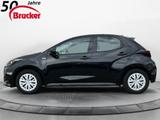 Toyota Yaris Hybrid 1.5 Business Edition SHZG NAVI - Toyota Yaris: bis 25000 Euro