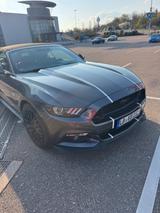 Ford Mustang 5.0 V8 GT  - Ford Mustang Gebrauchtwagen in Stuttgart