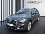 Audi Q2 1.6 TDI sport ACC+LED+SHZ+2xKlima+KlimaA+LM - Audi Q2 aus 2016