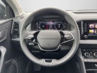 Skoda Karoq - Vorschau Bild 10