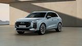 Audi Q3 TFSI 110 kW neues Modell Rückfahrkamera Pano - Audi Q3 mit Benzin-Antrieb: Geländewagen, Automatik