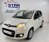 Fiat Panda More*1,2-51KW*I.HAND*KLIMA*ESP*SERVO*ABS*+ - Fiat Panda Gebrauchtwagen