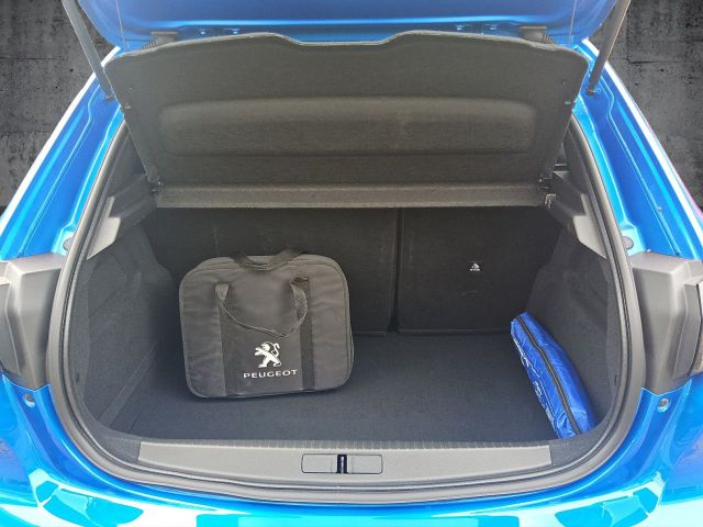 208 Elektromotor 136 Active Pack