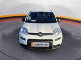 Fiat Panda *NEU* 1.0 GSE Hybrid DAB/Klima - Fiat Panda: Kombi