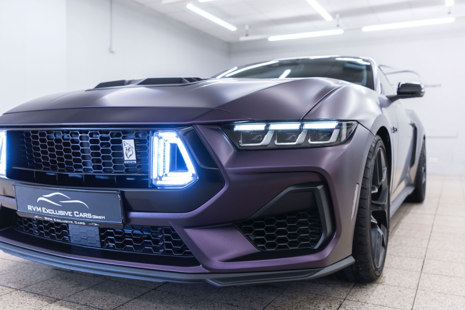 Fahrzeugabbildung Ford Mustang 5.0L V8 COYOTE KAM TOTW LED CARPLAY