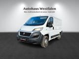 Fiat Ducato/Kamera/AHK/1.Hand/Top - Fiat Ducato in Bochum