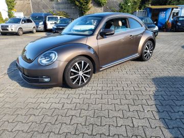 Volkswagen Beetle - 2