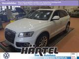Audi Q5 QUATTRO 2.0 TDI S TRONIC (+EURO6) Bluetooth - Audi Q5 in Osnabrück
