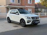 Mercedes-Benz MERCEDES ML 350 AMG paket - Mercedes-Benz ML 350 in Augsburg