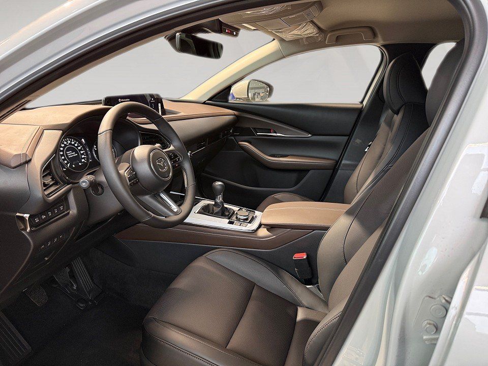 Fahrzeugabbildung Mazda CX-30 2.0 X 186PS Takumi BLOP