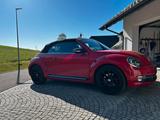 Volkswagen New Beetle, Cabrio - : Rot, Cabrio