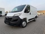 Opel 140 L2H1 Edition Kastenwagen * RFK * - Opel Movano: Kastenwagen