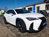 Lexus UX 250 H*Automatik-Leder*1Hand*Garantie* - Lexus aus 2021