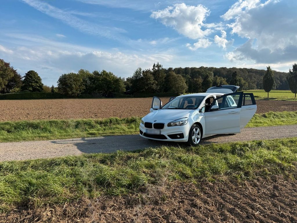 Image of BMW 220