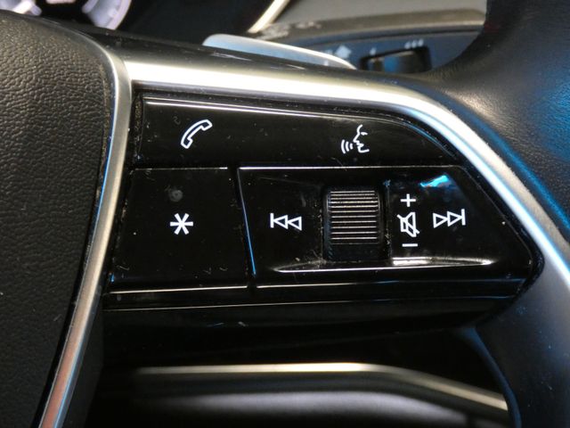 A8 60 TFSI e quattro Panoramadach LEDER