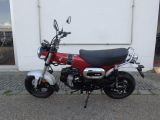 Honda Dax 125 - DAX