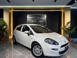 Fiat Punto 1.3 MJT II S&S 85 CV 5 porte ECO Loun - Fiat Punto mit Diesel-Antrieb: 3.1
