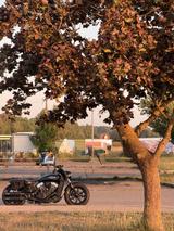Indian Scout Bobber Custom - INDIAN SCOUT Motorrad