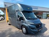 Fiat Ducato Böckmann Pferdetransporter Automatik Navi - Bauwagen