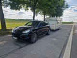 Knaus 530P - Knaus 530
