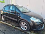 Suzuki SX4 Allrad Diesel - Klima + AHK kein Tüv !! - gebrauchte Suzuki SX4 aus dem Jahr 2007