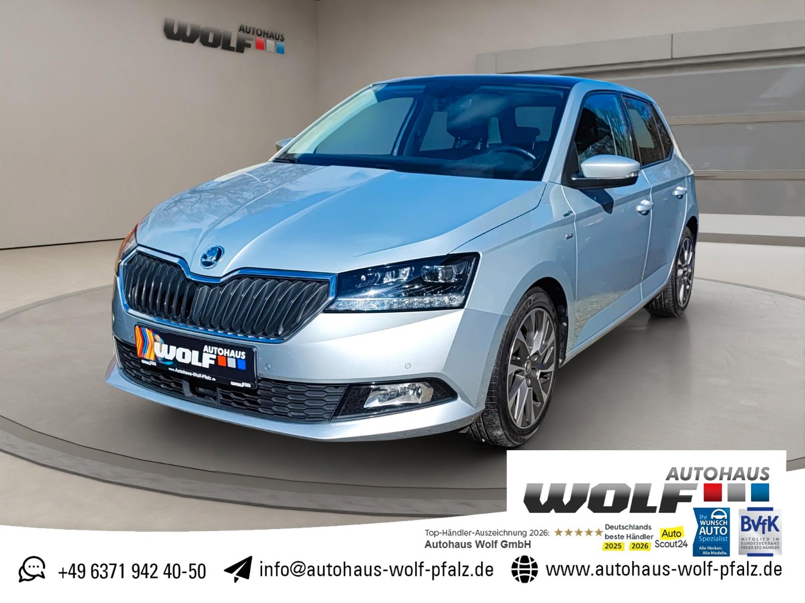 Skoda Fabia 1.0 TSI Clever Best of ACC~Blind Spot~Navi