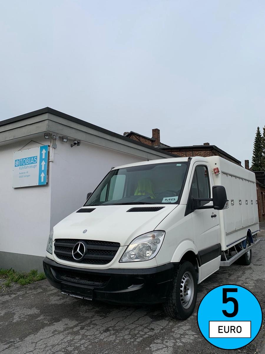 Mercedes-Benz MB 313 SPRINTER, WENIG KM, TIEFKÜHLER/EIS