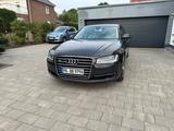 Audi A8 4.2 TDI tiptronic quattro - V8-Diesel  - Audi A8: 4d2