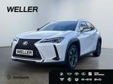 Lexus UX 250h Style Edition *Bi-LED*ACC*CAM*SHZ*CarPla - Lexus Gebrauchtwagen in Dortmund