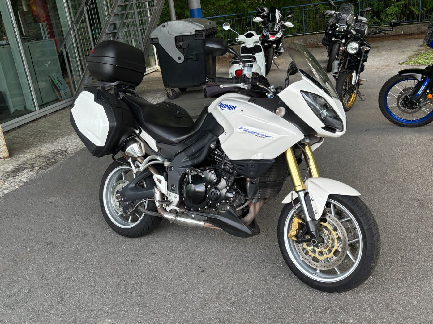 Fahrzeugabbildung Triumph Tiger 1050 Sport SC Project